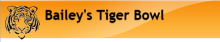 Bailey's Tiger Bowl FB Banner